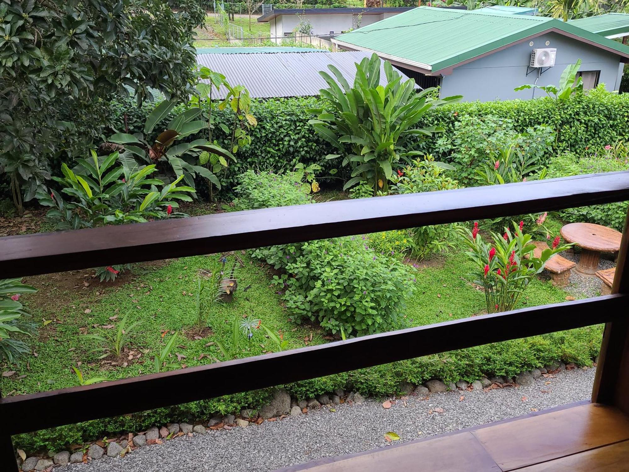 Arenal Sweet Cabins La Fortuna Zewnętrze zdjęcie